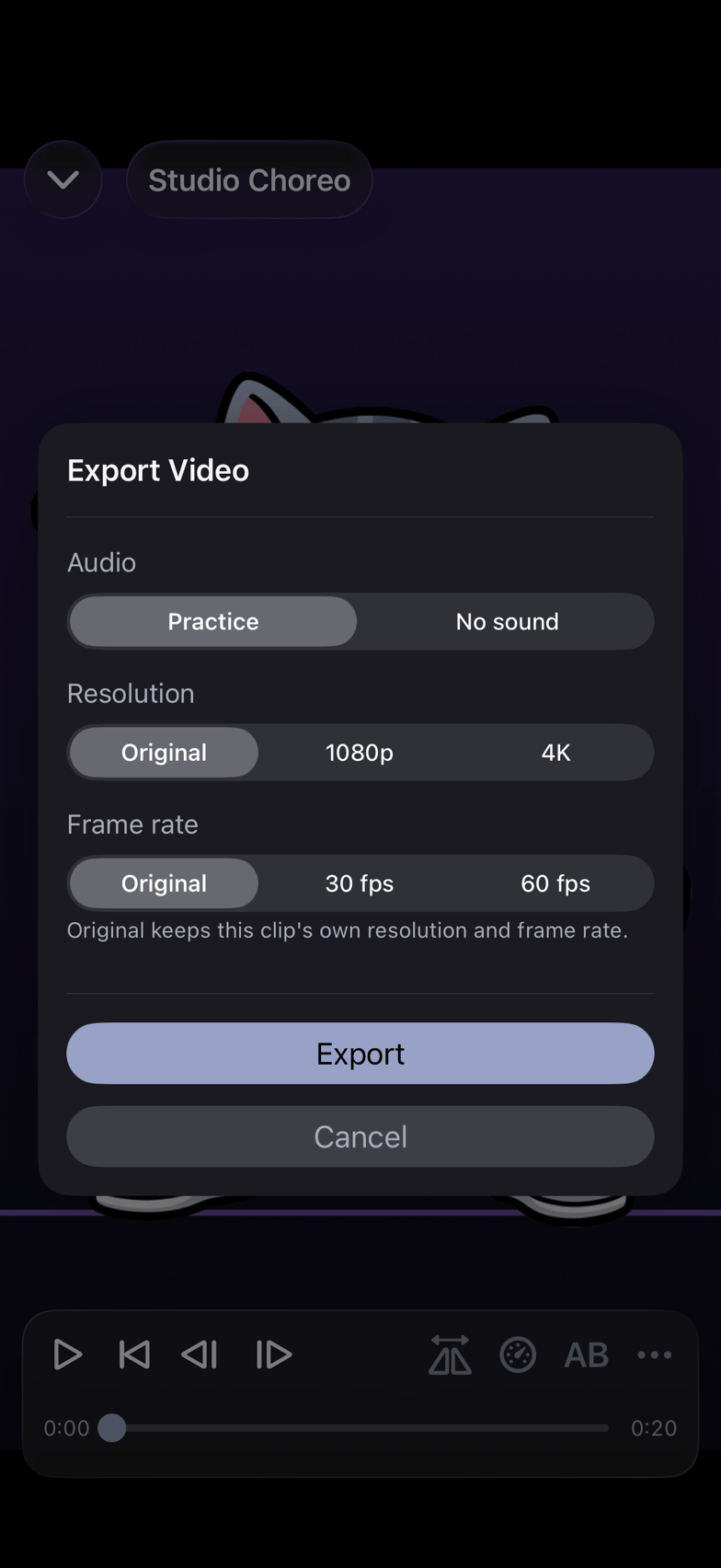 Der aus dem Player geöffnete Export-Dialog mit den Zeilen Audio, Auflösung und Bildrate sowie einer Textzeile darunter, die Original erklärt